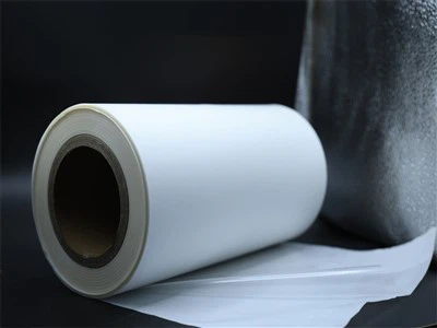 Neylon Tepa-ni bog'lash uchun termoplastik yopishqoq plyonka